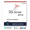 SQL Server Standard 2019